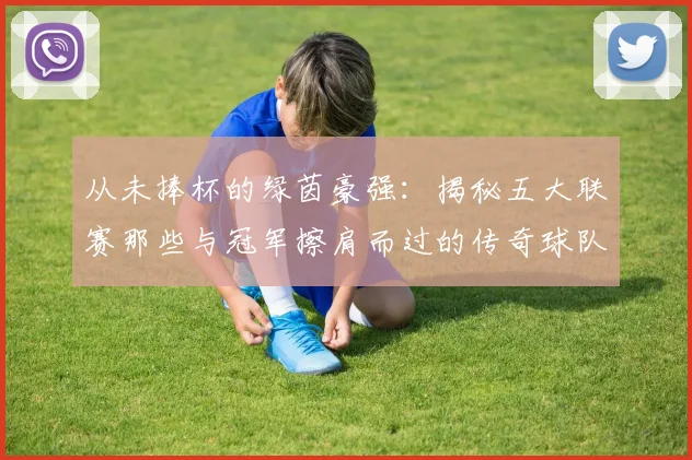 从未捧杯的绿茵豪强:揭秘五大联赛那些与冠军擦肩而过的传奇球队