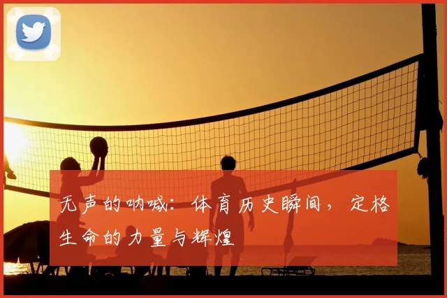 无声的呐喊：体育历史瞬间，定格生命的力量与辉煌